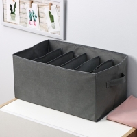 Органайзер для хранения белья &laquo;Смарт&raquo;, 6 ячеек, 44&times;29&times;22 см, цвет серый