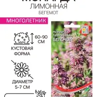 Семена Монарда лимонная "Бегемот", 110 шт