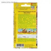 Семена цветов Алиссум "Магические цвета", смесь окрасок, О, 0,03 г