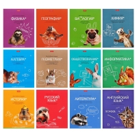 Комплект предметных тетрадей 48 листов, 12 предметов Hatber &laquo;Мой любимый предмет&raquo;, обложка мелованный картон, ламинация Soft-touch, с интерактивным сп...