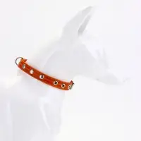 Ошейник кожаный однослойный украшенный, 1,2 см, ОШ 20-26 см микс цветов