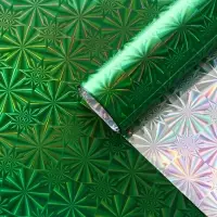 Пленка голография, зелёный, 70&times;100 см, рисунок МИКС