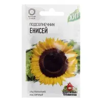 Семена Подсолнечник "Енисей", ц/п,  ХИТ х3, 5 г