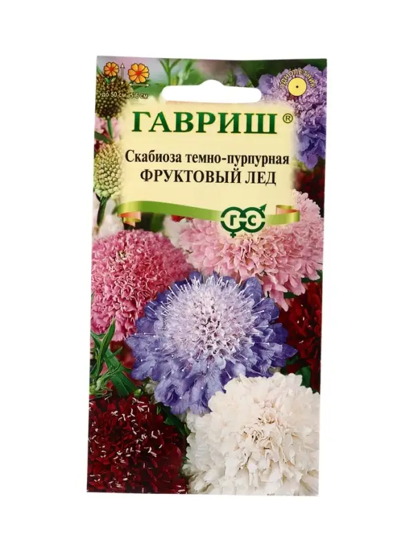 Семена цветов Скабиоза пурпурная Фруктовый лед, махровая смесь 0,2 г