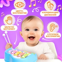 Музыкальная игрушка &laquo;Металлофон&raquo;