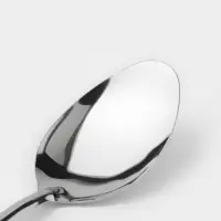 Набор ложек столовых 12 шт 19 см "Оптима"