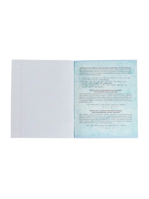 Тетрадь предметная 48 листов в клетку Calligrata, &laquo;Неон. Информатика&raquo;, со справочным материалом, обложка мелованный картон, УФ-лак, блок офсет