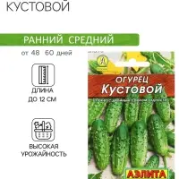 Семена Огурец "Кустовой" "Лидер", 20 шт,