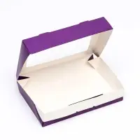 Контейнер на вынос, сиреневый, 20&times;12&times;4 см