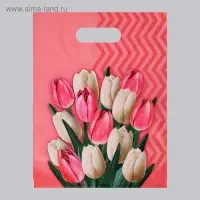 Пакет &laquo;Диана&raquo; полиэтиленовый с вырубной ручкой, МИКС, 50 мкм, 30&times;40 см