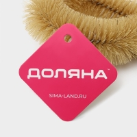 Ёршик для посуды Доляна, 25,5&times;7&times;3,5 см, овал, деревянная ручка