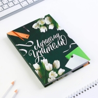 Набор &laquo;Лучшему учителю&raquo;: ежедневник А5 160 листов, планинг 50 листов и ручка пластик