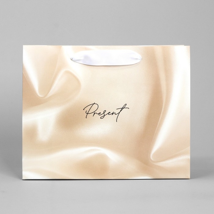 Пакет подарочный, упаковка, &laquo;Present&raquo;, 22 х 17.5 х 8 см