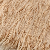 Тесьма с перьями страуса, 8-10 см, 5 &plusmn; 0,5 м, цвет слоновая кость