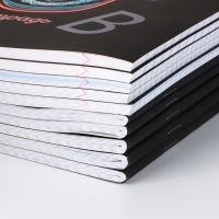 Набор тетрадей 48 листов, 10 предметов, внутренний блок №1 МИКС &laquo;1 сентября: Неон&raquo; Софт тач лам, 3D лак