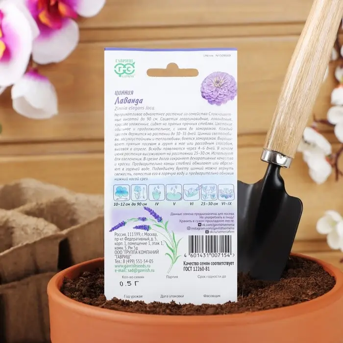 Семена цветов Цинния Лаванда "Лавандовые грёзы", ц/п,  0,5 г