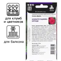 Семена цветов Катарантус Пацифика  "Бургунди" 10 шт
