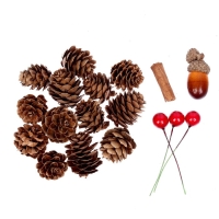 Набор новогоднего декора &laquo;Пряные шишки&raquo;