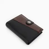 Портмоне мужское на кнопке, 3 в 1, для автодокументов и паспорта, 2 отдела, для карт, для монет, цвет чёрный/кофе