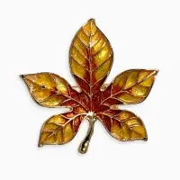 Брошь "Лист Клёна" прозрачная эмаль, цвет жёлто-коричневый в золоте