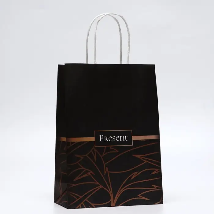 Пакет подарочный крафтовый Present 18&times;8&times;25 см, 120 г/м&sup2;