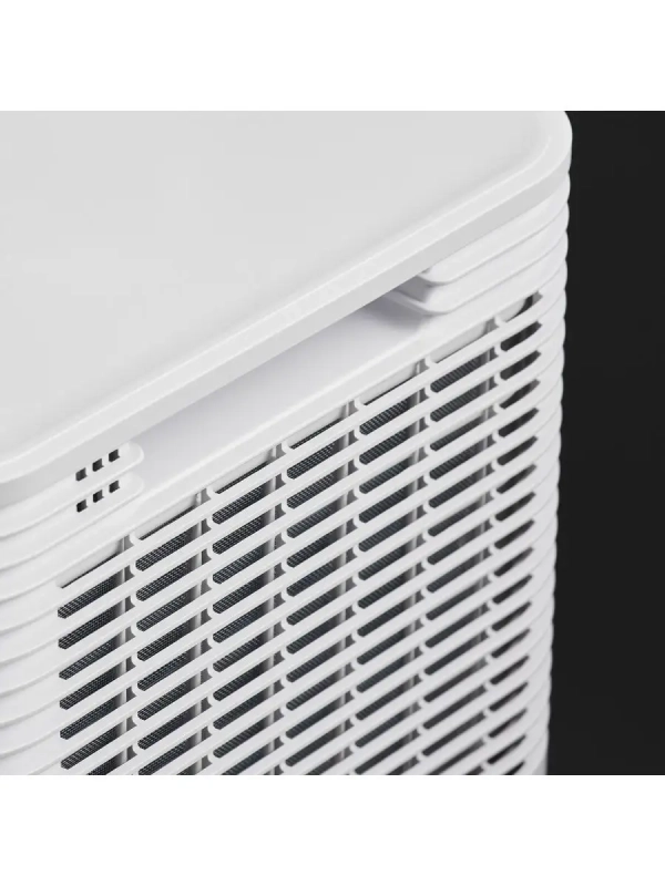 Электрический осушитель H-DH10-P81WF