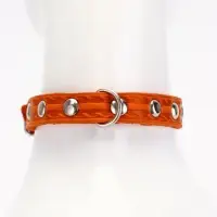 Ошейник кожаный однослойный украшенный, 1,2 см, ОШ 20-26 см микс цветов