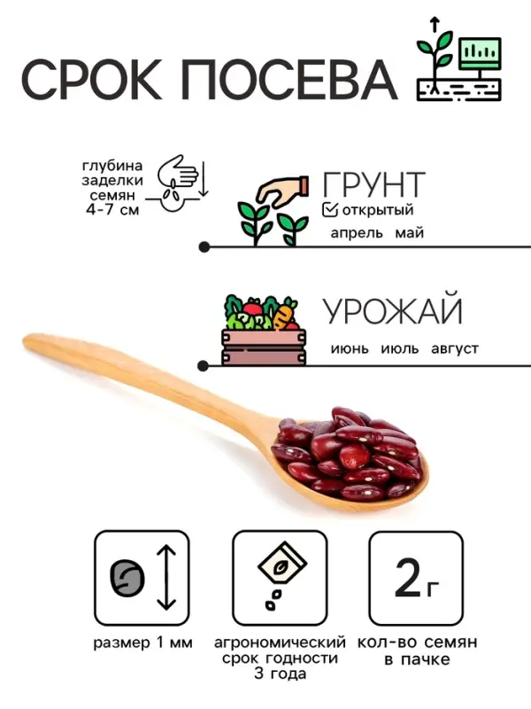 Семена Бобы "Русские черные", 2 г