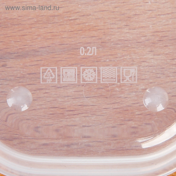 Ланч-бокс прямоугольный FoodVibes &laquo;Сочные яблоки&raquo;, 150 мл