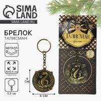 Брелок новогодний, для ключей &laquo;Приношу удачу&raquo;, диам. 4 см