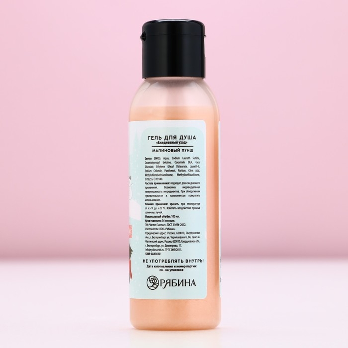 Гель для душа &laquo;Волшебной зимы&raquo;, 100 мл, аромат малиновый пунш, Новый Год