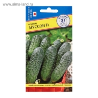 Семена Огурец "Муссон" F1, 5 шт