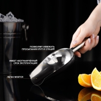 Совок из нержавеющей стали для льда и сыпучих продуктов, 260 мл, 24&times;9 см, цвет хромированный