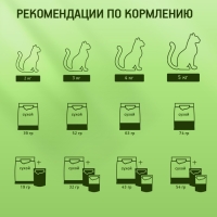 Сухой корм KiteKat "Мясной пир" для кошек, 15 кг