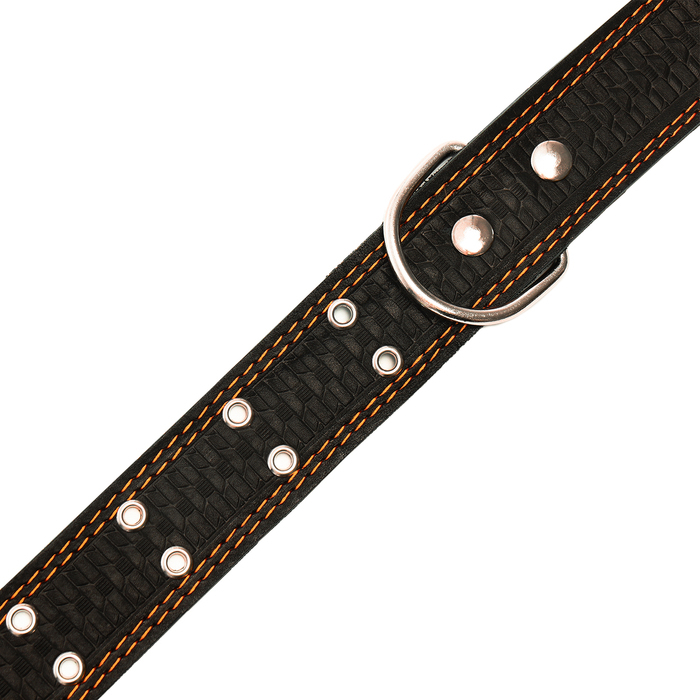 Ошейник кожаный тисненый однослойный, безразмерный, 74 х 4,5 см, ОШ 35-65 см, микс цветов