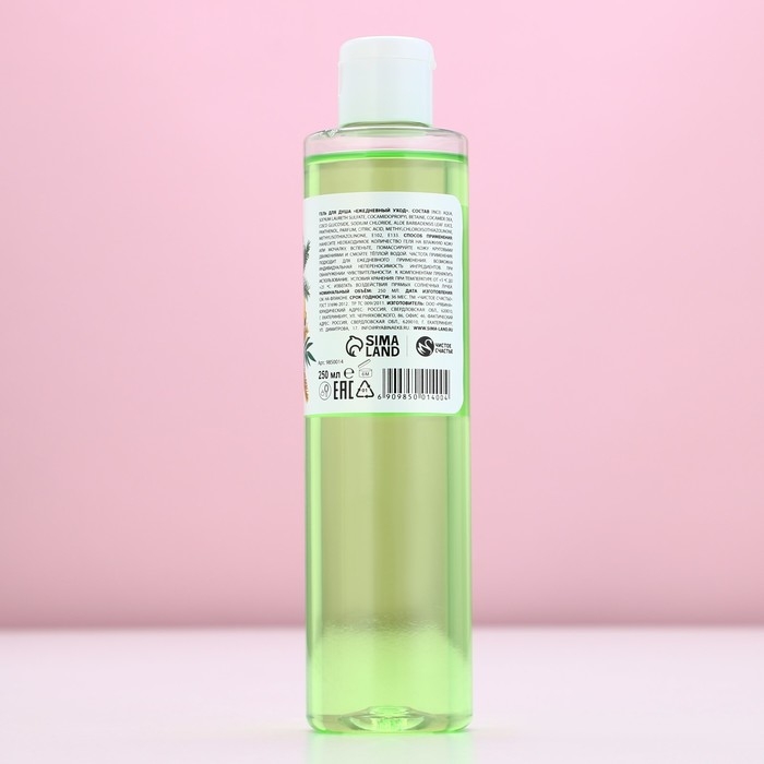 Гель для душа &laquo;С Новым Годом!&raquo;, 250 мл, аромат спелого яблока, ЧИСТОЕ СЧАСТЬЕ