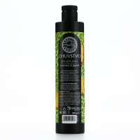 Гель для душа женский, 300 мл, аромат ананаса и дыни, URAL LAB