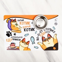 Коврик под миску &laquo;Во-о-от столько еды хочу&raquo;, 43х28 см