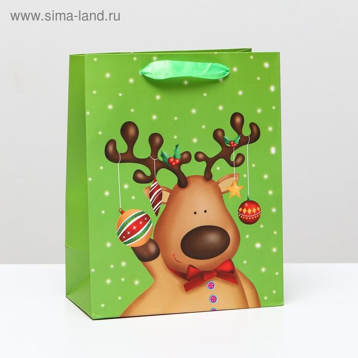 Пакет ламинированный "Подарок", 18 x 23 x 10 см