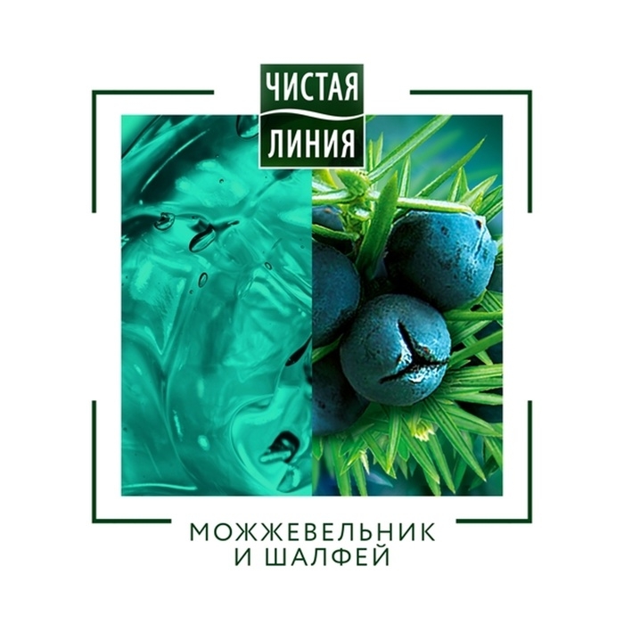 Шампунь для волос Чистая линия For Men 3 в 1 &laquo;Энергия и чистота&raquo;, комплексный уход, 400 мл