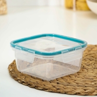 Контейнер для продуктов с защёлками, 800 мл, герметичная крышка, цвет прозрачный