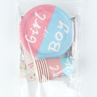 Набор одноразовой посуды &laquo;Гендер Пати&raquo;, 15 предметов