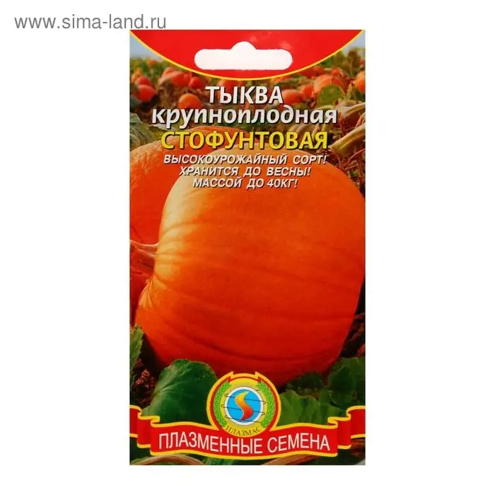 Семена Тыква крупноплодная "Стофунтовая", 2 г