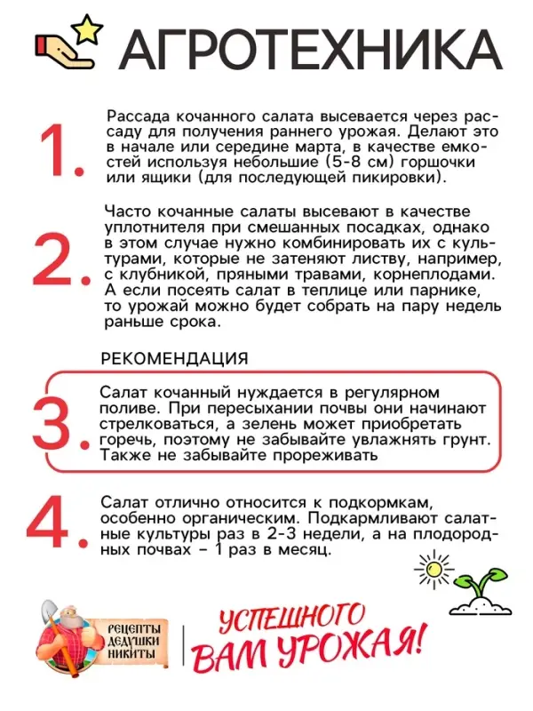 Семена Салат кочанный "Всесезонка", 0,5 г