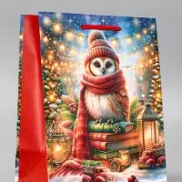 Пакет подарочный новогодний ламинированный, &laquo;Сова&raquo; , 18&times;10&times;22.3 см