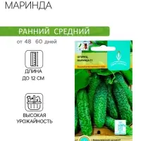 Семена Огурец "Маринда" F1, партенокарпический, 10 шт.