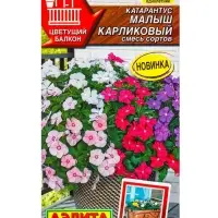 Семена цветов Катарантус Малыш карликовый, смесь сортов  Цветущий балкон, Ц/П,0,05 г