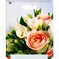 Пакет "Романтическое настроение", полиэтиленовый с вырубной ручкой, л 40х31 см, 60 мкм