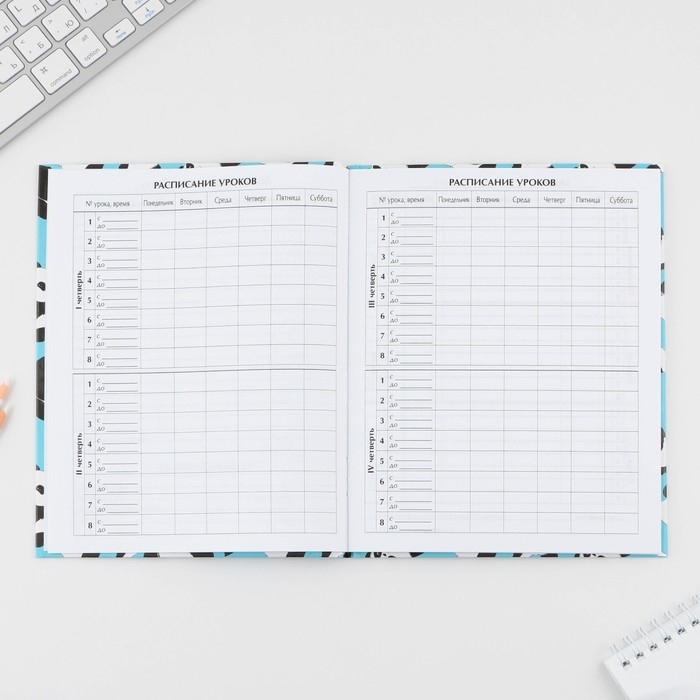 Дневник школьный 5-11 класс &laquo;Панды&raquo;, твердая обложка 7БЦ, глянцевая ламинация, 48 листов