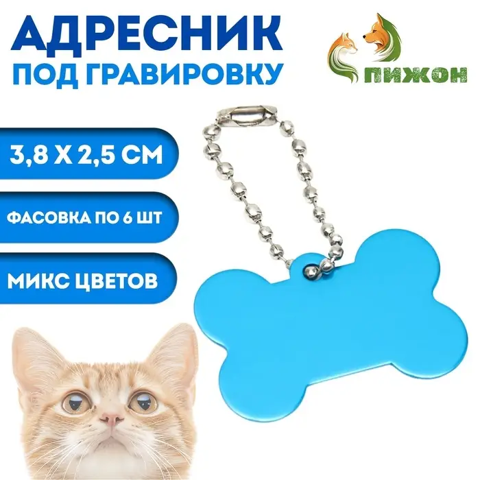 Адресник под гравировку "Косточка", 3,8 х 2,5 см, фасовка 6 шт, микс